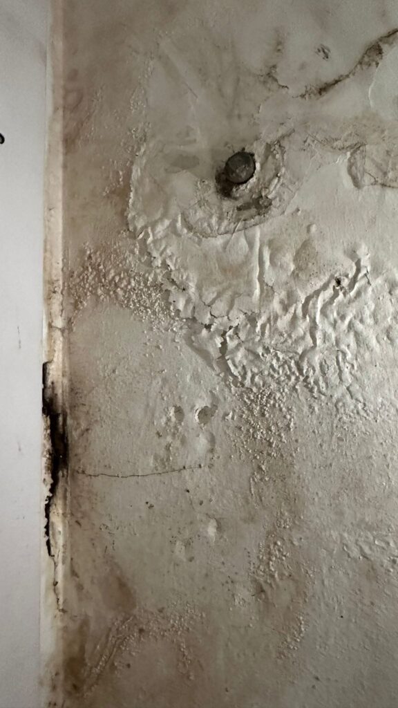 Durch Wasser beschädigte Wand mit Schimmelspuren