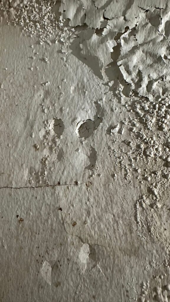 Wasserschaden an Wand in München