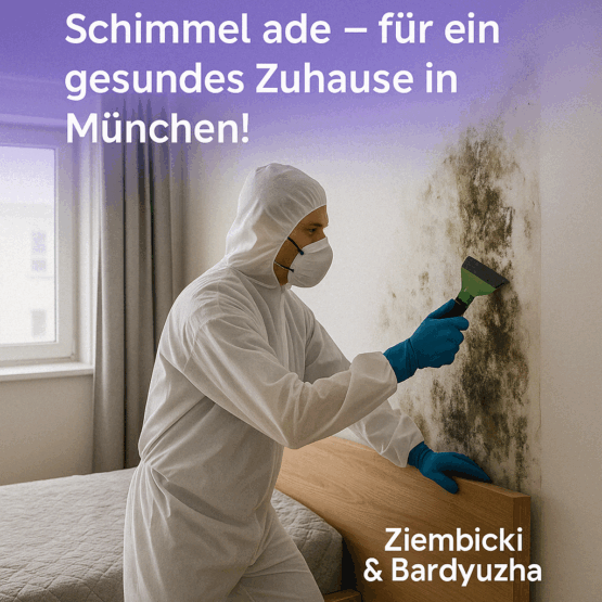 Schimmel in wohnung entfernen münchen